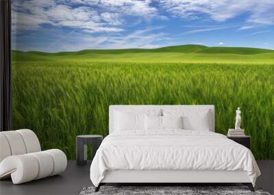 Palouse Region of Washington Wall mural