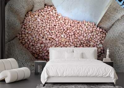 Raw Peanuts in burlap sack	
 Wall mural