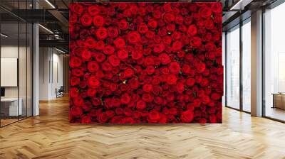 Red roses texture and background Wall mural