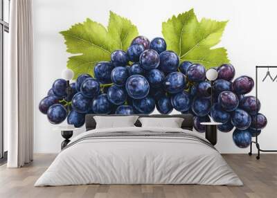 A cluster of ripe, dark purple grapes with two green leaves isolated on a white background. Wall mural