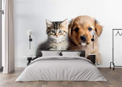 Cute puppy and kitten looking at the camera Wall mural