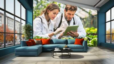 Scientist male and female working together on a farm Wall mural