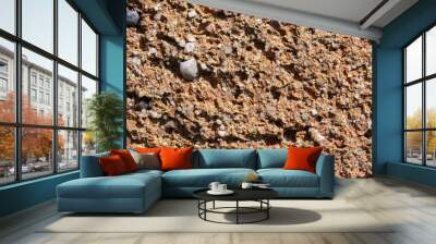 Abstract image of brick texture Wall mural