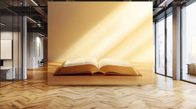 Bright sun light and bible book silhouette of the Holy Jesus Christ guiding the bright path	
 Wall mural