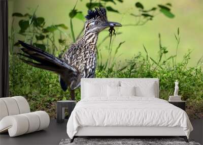 Roadrunner #2 Wall mural