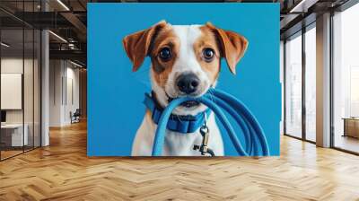 A dog is holding a blue leash in its mouth Wall mural