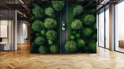 Green car on forest highway. Generative AI Wall mural