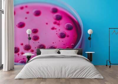 A vibrant pink petri dish filled with bubbles, set against a contrasting blue background, evokes a scientific atmosphere. Wall mural