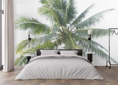 palm tree isolated on white Wall mural