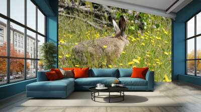 European hare (Lepus europaeus), also known as the brown hare and flowers Wall mural