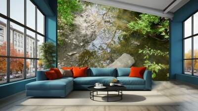 Reflective creek water with concrete drain pipe Wall mural