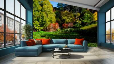 Mount Lofty Botanic Garden - South Australia Wall mural