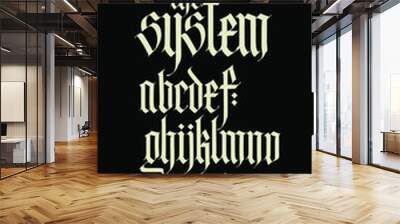 Gothic style alphabet. Vector. Letters and symbols on a black background. Calligraphy with a white marker. Medieval latin letters. Elegant font for tattoos. Ancient Germanic style. Wall mural