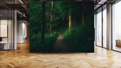 path in green summer forest Wall mural