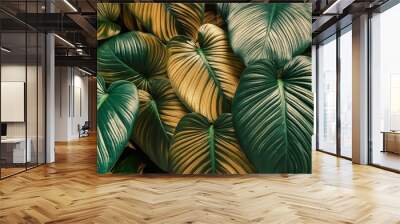 pattern leaf background green plant tree abstract palm floral wallpaper flower foliage art jungle background luxury leaf pattern texture design line summer gold nature monstera fabric golden leaves Wall mural