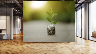 Light bulb Energy saving and a coin glass on the floor nature background Wall mural