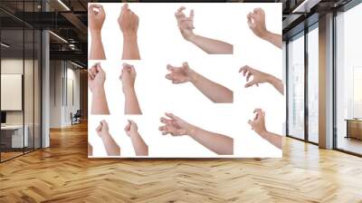  Male asian hand gestures isolated over the white background. Grab Round Thing with five fingers Action. Wall mural