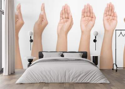 GROUP of Female asian hand gestures isolated over the white background. Wall mural