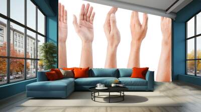 GROUP of Male asian hand gestures isolated over the white background. Wall mural