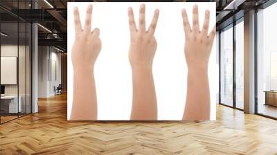 Kid Hand Isolated on White Background : Hand Counts from one to five. Wall mural