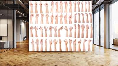 SUPER SET of Caucasian hand gestures isolated over the white background. Wall mural