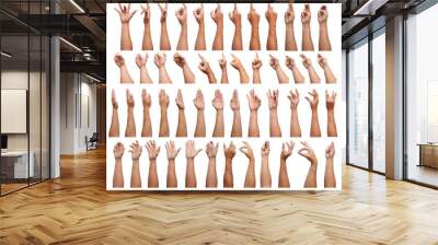 SUPER SET of Male asian hand gestures isolated over the white background. Grab with five fingers Action. sexual sign. Masturbation.Pointing Visual Touch Action. Wall mural