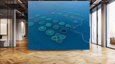 Aerial drone photo of latest technology auto feeding fish farming  - breeding unit of sea bass and sea bream in huge round cages located in calm Mediterranean sea Wall mural