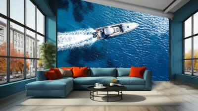 Aerial drone top down ultra wide photo of inflatable speed boat cruising in high speed in deep blue Aegean sea Wall mural