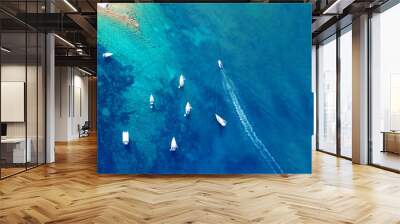 Aerial drone ultra wide photo of tropical Caribbean bay with white sand beach and beautiful turquoise and sapphire clear sea Wall mural