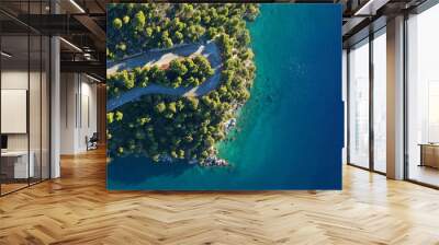 Aerial drone ultra wide top down panoramic photo of curvy snake road crossing through vegetated tropical forest by the sea Wall mural