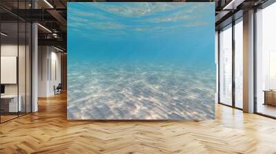 Underwater Aegean sea paradise beach with emerald - turquoise sea, Greece Wall mural