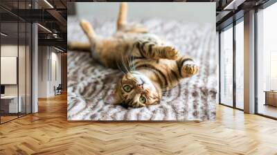 Cute bengal cat living in the modern apartment. Playing around the furniture. Cute pussy eyes.  Wall mural