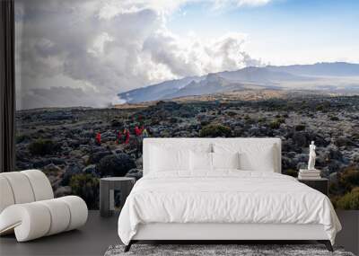 Group of trekkers hiking among snows and rocks of Kilimanjaro mountain Wall mural