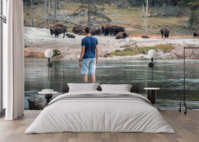 Rear view of man looking at bison while standing on lakeshore. Male tourist exploring forest at famous Yellowstone National park. He is spending leisure time during summer vacation. Wall mural