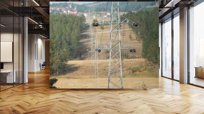 power lines Wall mural