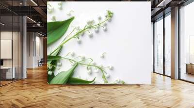 Bright white lily of the valley flower on a white background, template for a postcard Wall mural