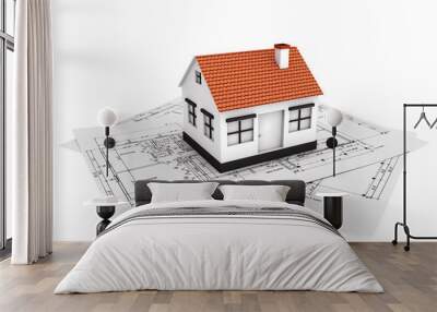 classic house model with plan Wall mural