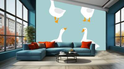 Set of cute white geese. Vector goose illustration Wall mural