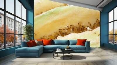 close-up tapinoma sessile, odorous house ant, sugar ant, stink ant eat avocado Wall mural