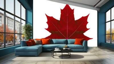 Autumn leaf  maple  on a white background isolated with clipping path.  Nature.  Closeup with no shadows. Macro. Indian summer. Red.   For design of cards and web sites about nature. Wall mural