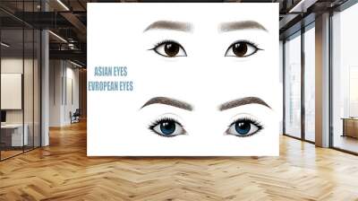 Set of Beautiful Asian and European Woman Eyes and Brows. Vector illustration Wall mural