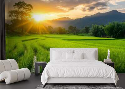 A wide view image of paddy field with a sun shining on it Wall mural