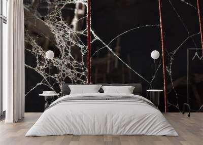 Creepy white spider web on dark romm background Wall mural