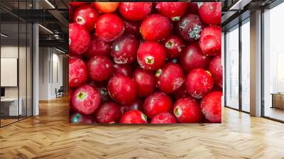 cranberry Wall mural