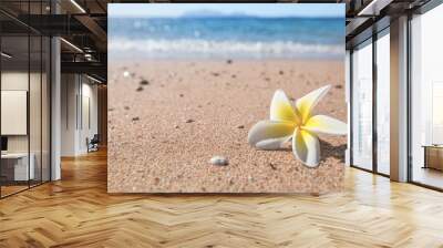 white flower on sand beach Wall mural