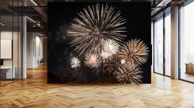 Golden Firework celebrate anniversary independence day night time celebrate national holiday. Countdown to new year 2023 party time event. Happy new year 2023, 4th of july holiday festival concept Wall mural