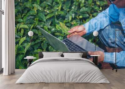 Smart farmer using laptop in eco green farm sustainable quality control. Close up Hand typing laptop computer quality control plant tree. Farmer hands using technology in eco Farmland biotechnology Wall mural