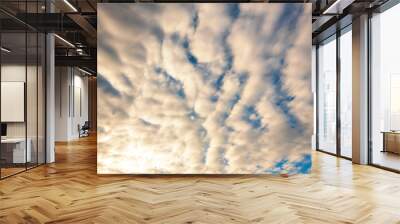 Tropical summer blue sky fluffy white cloud summertime on light sunny day cloudscape. Clear bright blue skyline spring sunlight climate background. Heaven blue environment ecology high scenic nature. Wall mural