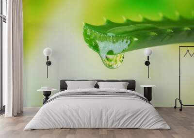 Aloe leaf with drop on natural background Wall mural