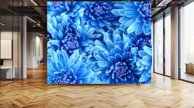 Beautiful blue flowers, close-up Wall mural